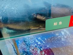 -鱼酷活鱼烤鱼(南京水游城店)