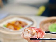 -点都德·毕德寮