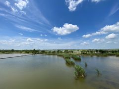 -盐城丹顶鹤湿地生态旅游区
