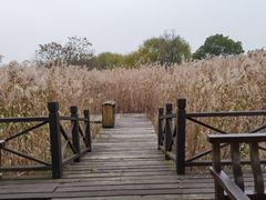 -梁鸿国家湿地公园