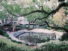 -香港大学