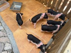 -HERRE·FARM 赫尔露营农场·团建聚会包场