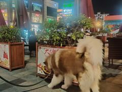 -小稻田辣椒炒肉(大浪商业中心店)