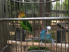 -黄海国家森林公园