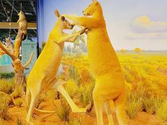 -陕西自然博物馆