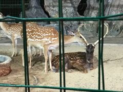 -八景休閒山莊  廣東十大名山莊