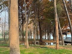 -蠡湖大桥公园