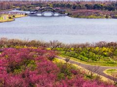 -上海海湾国家森林公园