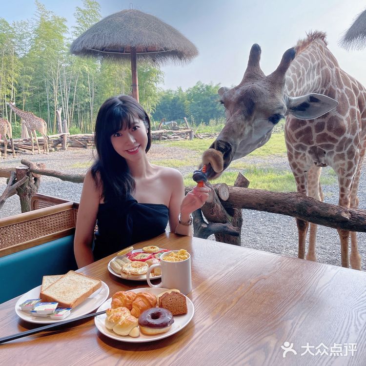 不用去肯尼亚🇰🇪也能和长颈鹿🦒共进早餐呀