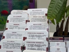 -雅悦齿科(顾村公园店)