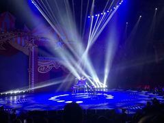 -珠海横琴长隆《卡卡虎奇遇记》