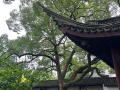 -上海醉白池公园