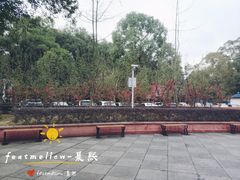 -四川大学(望江校区)
