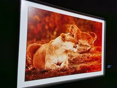 -罗红摄影艺术馆