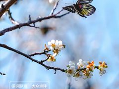 -荔枝公园(福田区)