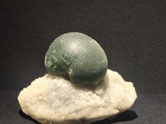 -桂大叔·砂锅粥·家传闽粤菜(县西巷店)