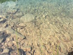 -会稽山峡洞漂流-上青古道