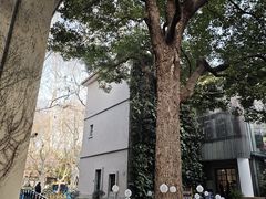 -徐家汇源景区-衡山坊