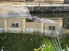 -合肥野生动物园
