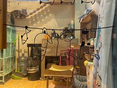 -小时光咖啡馆(开森度假森林店)