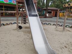 -成飞公园