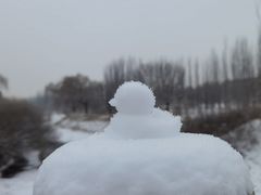 -嘉和一品粥(马家堡店)