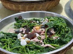 上汤桑叶-红旗山庄(圭峰山店)