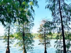 -南国桃园旅游度假区