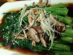 蘑菇炒芥蓝菜-宣威山野人家·云南菜·菌火锅(金碧店)
