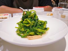 清炒豌豆尖-四季民福烤鸭店(故宫店)