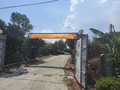 -樂桃源奉贤黄桃种植采摘基地