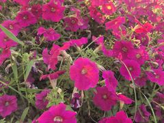 -大润发(梅兰东路店)