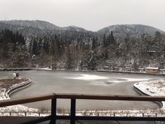 -武陵山森林公园