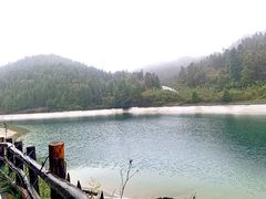 -武陵山森林公园