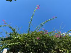 -三亚南山文化旅游区