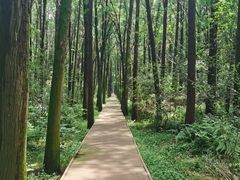 -同里国家湿地公园