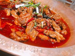 -成老灶火锅鸡(高东街店)