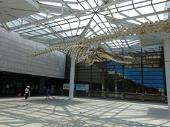 -大阪市立自然史博物馆