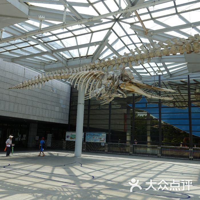 大阪市立自然史博物馆图片
