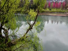 -贵阳市花溪国家城市湿地公园