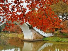 -田野绿世界