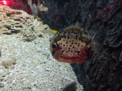 -常州海昌海洋探索馆