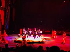 -珠海横琴长隆《卡卡虎奇遇记》