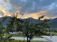 -林芝工布庄园希尔顿酒店-猎味中餐厅