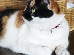 -BUND·FIVE外滩5号(天际店)