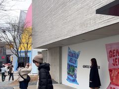 -Gentle Monster(Galleria百货狎鸥亭店)