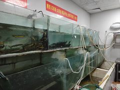-苏记溪河鲢鱼庄(天府新区店)