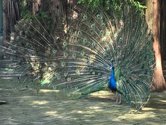 -南京金牛湖风景区