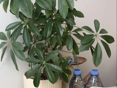 -壹点灵·心理咨询中心(中山公园店)
