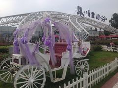 -紫颐香薰山谷景区